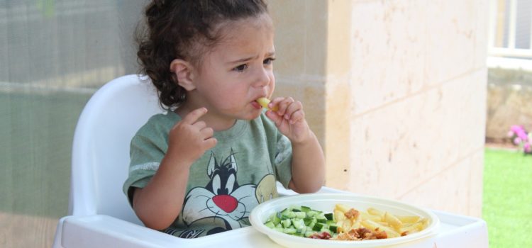 Quais as recomendações alimentares para crianças de 8 meses a 2 anos de idade?